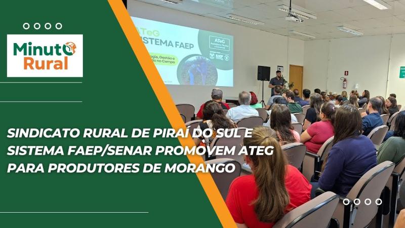  Sindicato Rural de Piraí do Sul e Sistema Faep/Senar promovem ATeG para produtores de morango