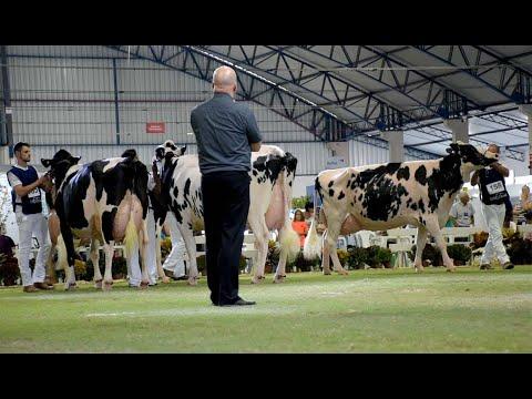 A 15ª ExpoFrísia acontece entre 12 e 14 de maio em Carambeí.