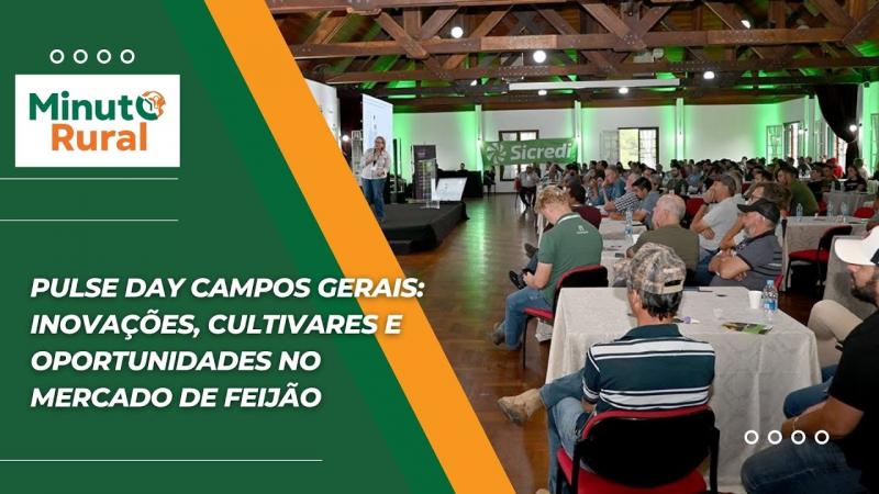 Pulse Day Campos Gerais: Inovações, cultivares e oportunidades no Mercado de Feijãovideo pulse