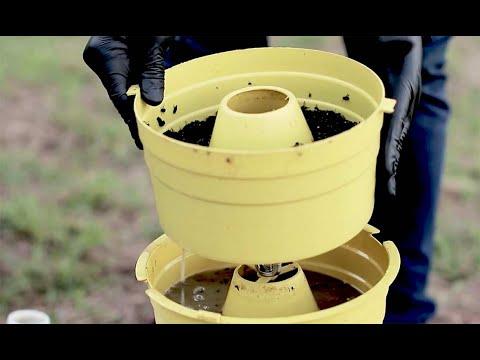 Controle a infestação de moscas na propriedade rural com produto biológico orgânico.