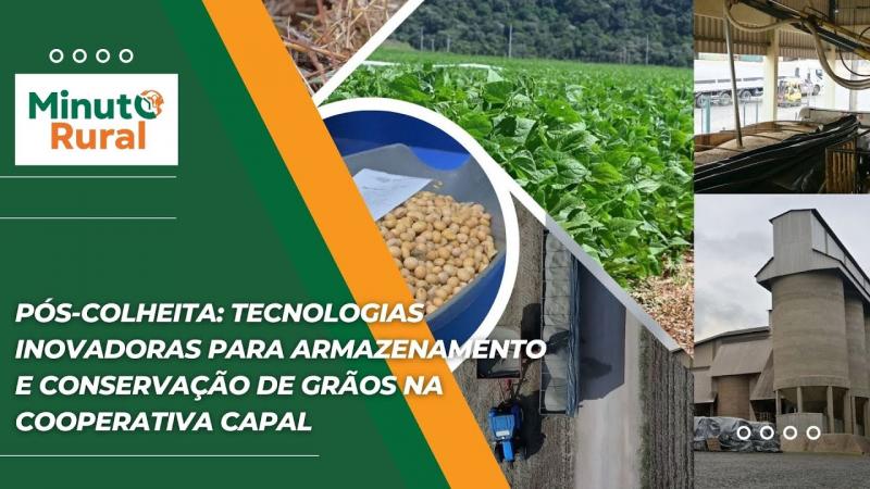 Pós-Colheita: Tecnologias Inovadoras para Armazenamento e Conservação de Grãos na Cooperativa Capal