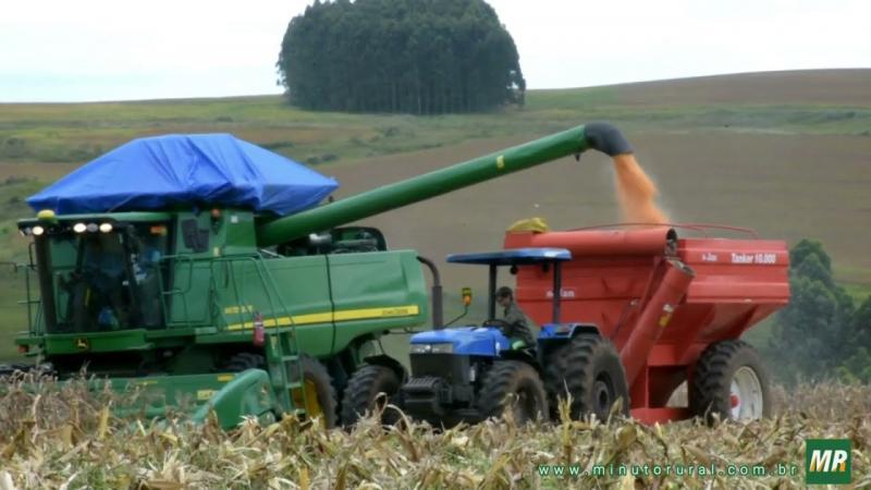 Veja o balanço das negociações entre Maizall - Aliança Internacional do Milho com o Reino Unido.