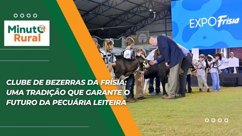 Clube de Bezerras da Frísia: Uma Tradição que Garante o Futuro da Pecuária Leiteira