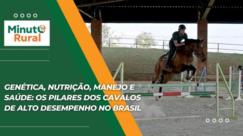 Genética, Nutrição, Manejo e Saúde: Os Pilares dos Cavalos de Alto Desempenho no Brasil