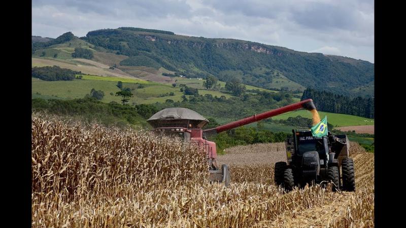 Investir bem o lucro da safra é dar sustentabilidade aos negócios da fazenda