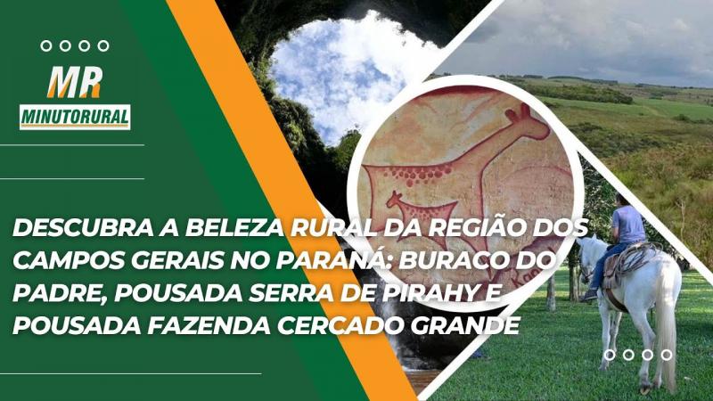 Explore a beleza rural dos Campos Gerais no Paraná e descubra atrações turísticas únicas.