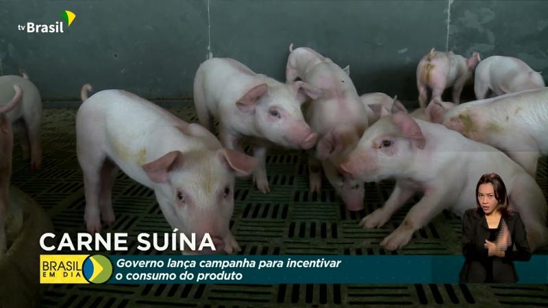 Governo incentiva o aumento do consumo de carne suína