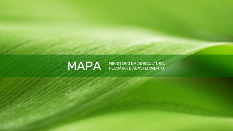 Mapa realiza cerimônia de transmissão de cargo de ministro.