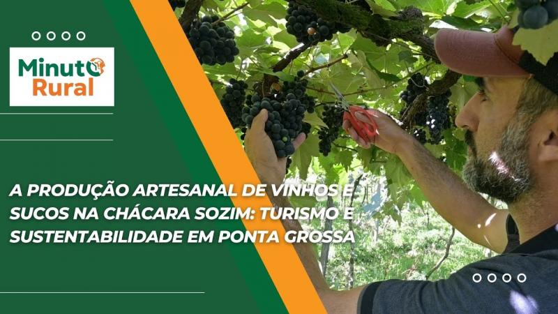 A Produção Artesanal de Vinhos e Sucos na Chácara Sozim: Turismo e Sustentabilidade em Ponta Grossa