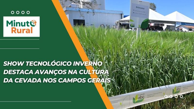 Show Tecnológico Inverno destaca avanços na cultura da cevada nos Campos Gerais