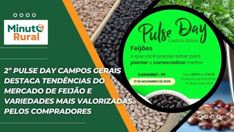 2º Pulse Day Campos Gerais destaca tendências do mercado de feijão e variedades mais valorizadas 