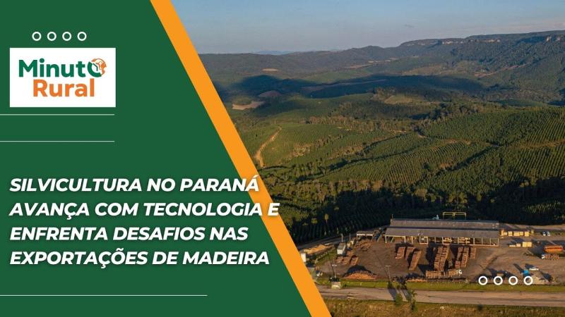  BR Pular navegação Pesquisar Criar 9+ Imagem do avatar Silvicultura no Paraná avança com tecnologia e enfrenta desafios nas exportações de madeira