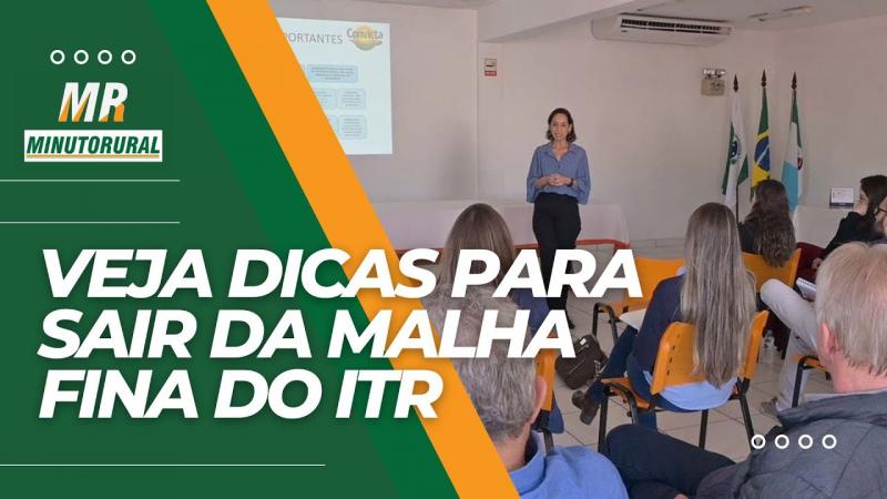 Veja dicas para sair da malha fina do ITR