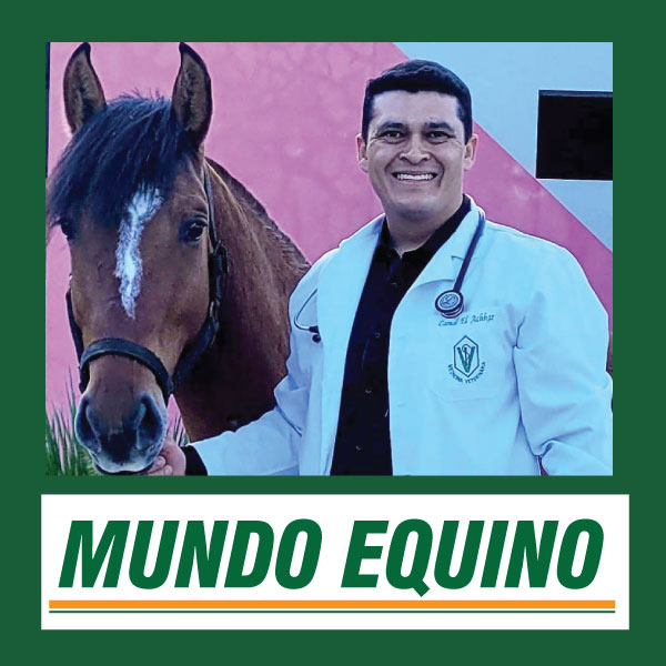 Mundo Equino