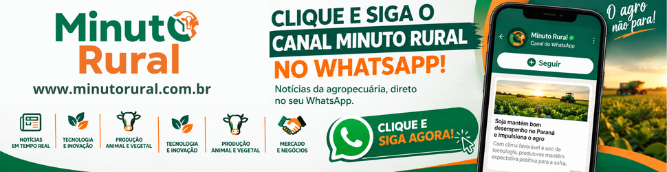 Publicidade